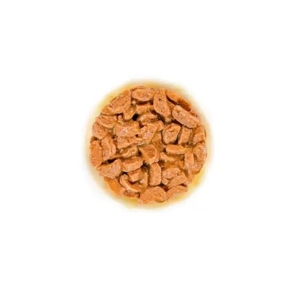Royal Canin Cat Ageing 11+ - Пълноценна мокра храна за котки над 11 годишна възраст
